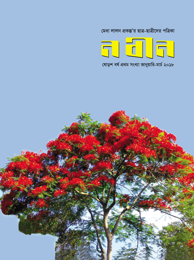 Publication Image
